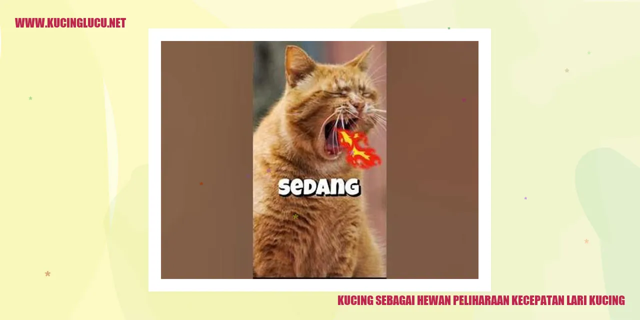 Gambar Kucing yang Melarikan Diri