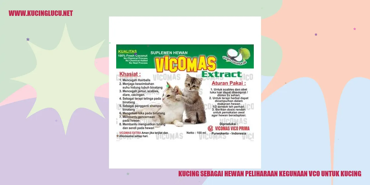 Gambar kucing imut
