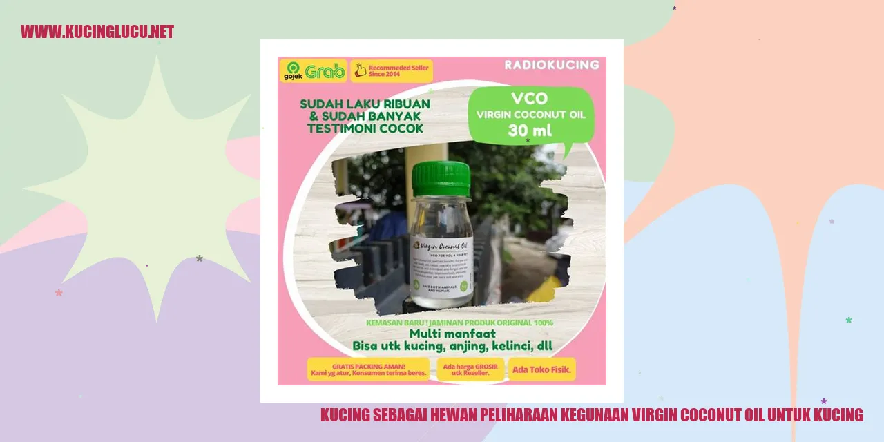 Kucing Sebagai Binatang Kesayangan