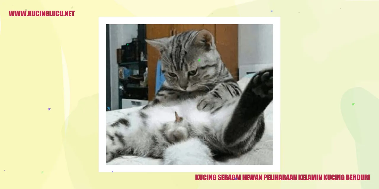 Kucing sebagai Hewan Peliharaan dengan Kelamin yang Berduri