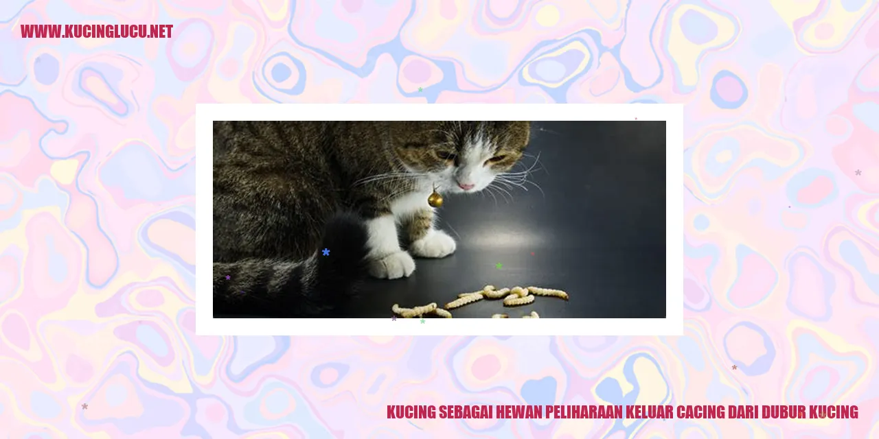 Kucing yang sedang bermain di rumput