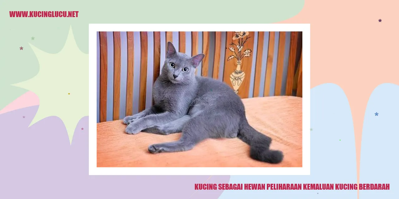 Gambar Kucing Sebagai Sahabat Setia di Rumah