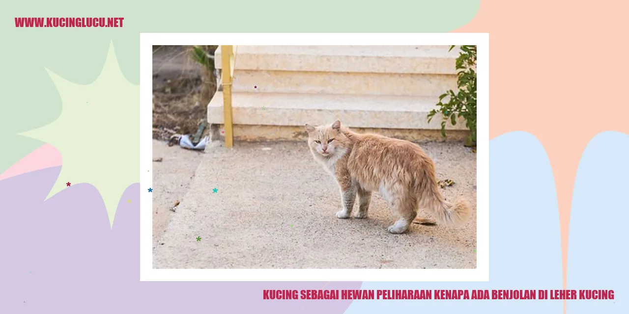 gambar kucing dengan benjolan di leher