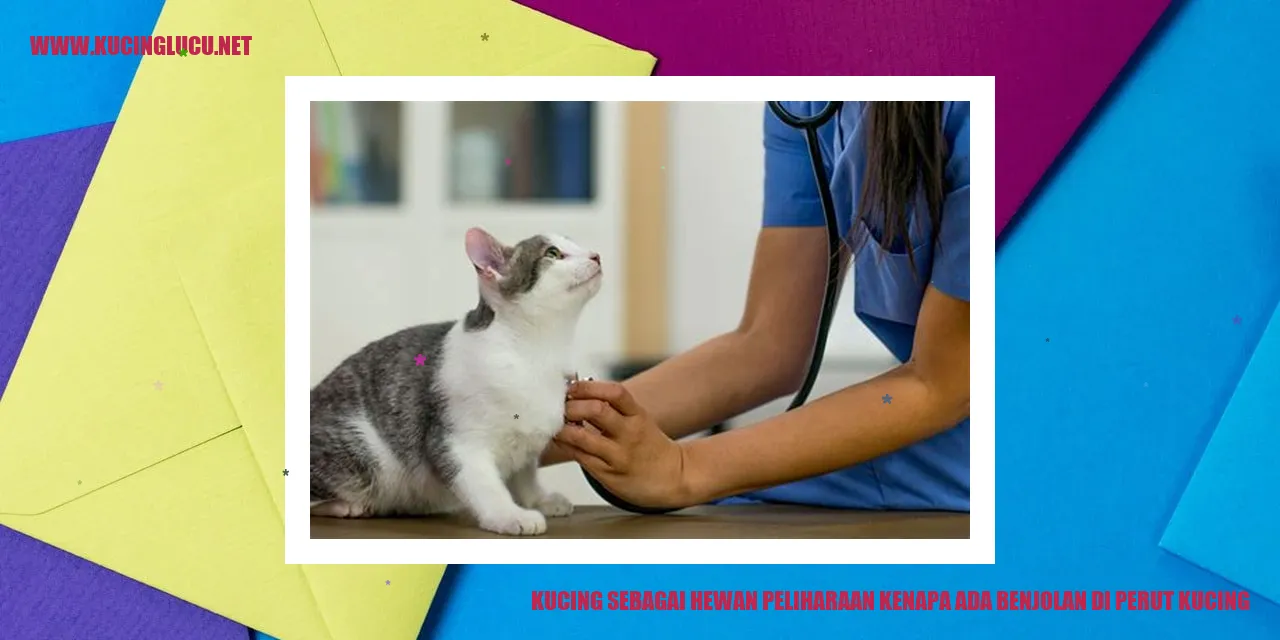 Kucing dengan benjolan di perut