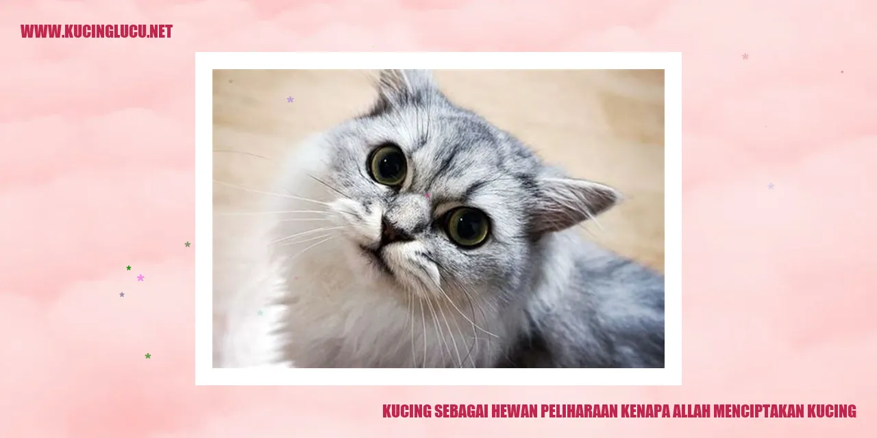Kucing sebagai Hewan Peliharaan