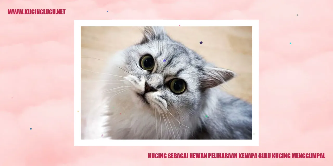 Kucing Menggumpal
