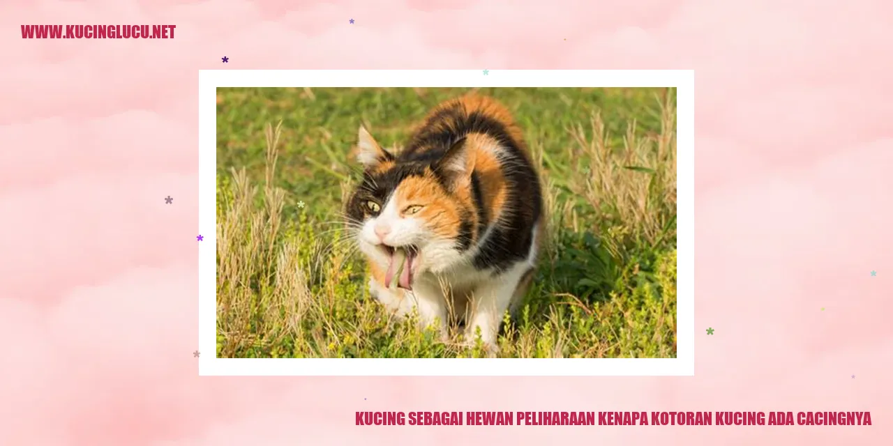 Kucing sebagai Hewan Peliharaan kenapa kotoran kucing ada cacingnya