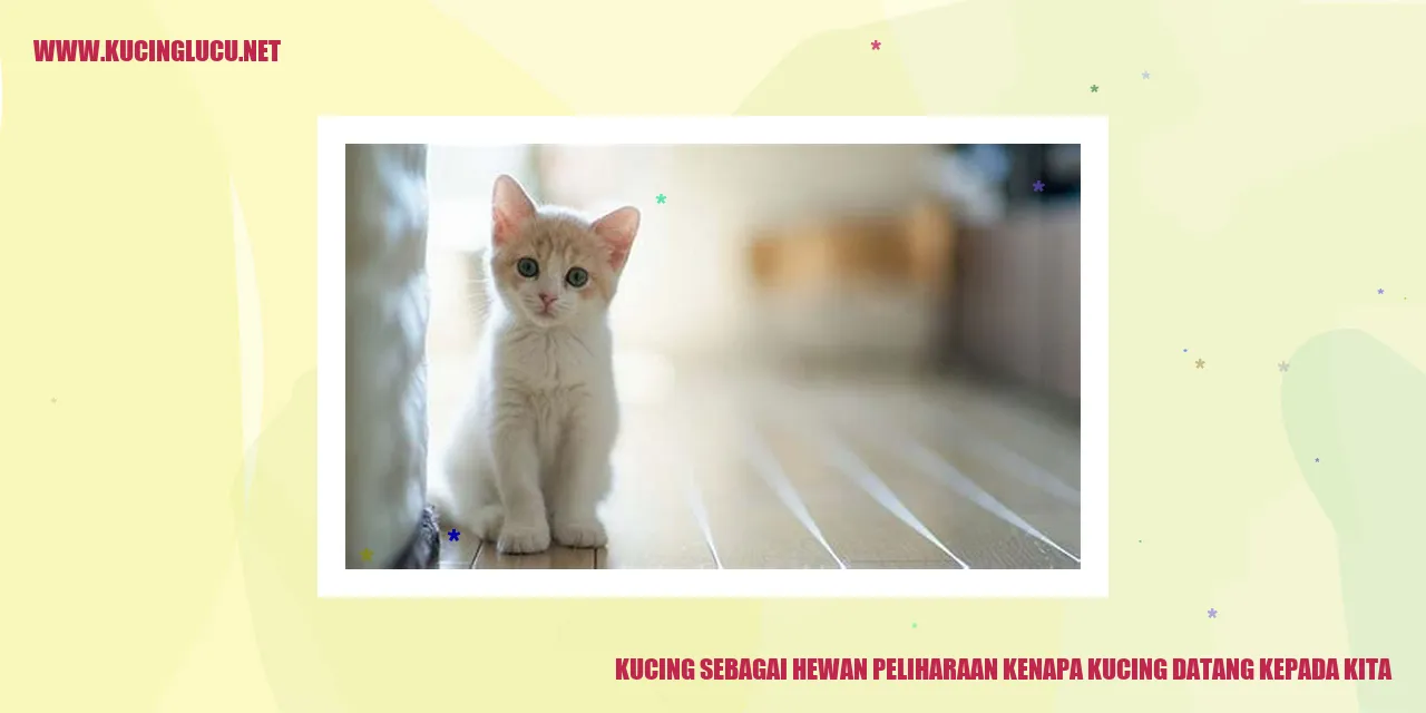 Gambar Kucing yang Menggemaskan