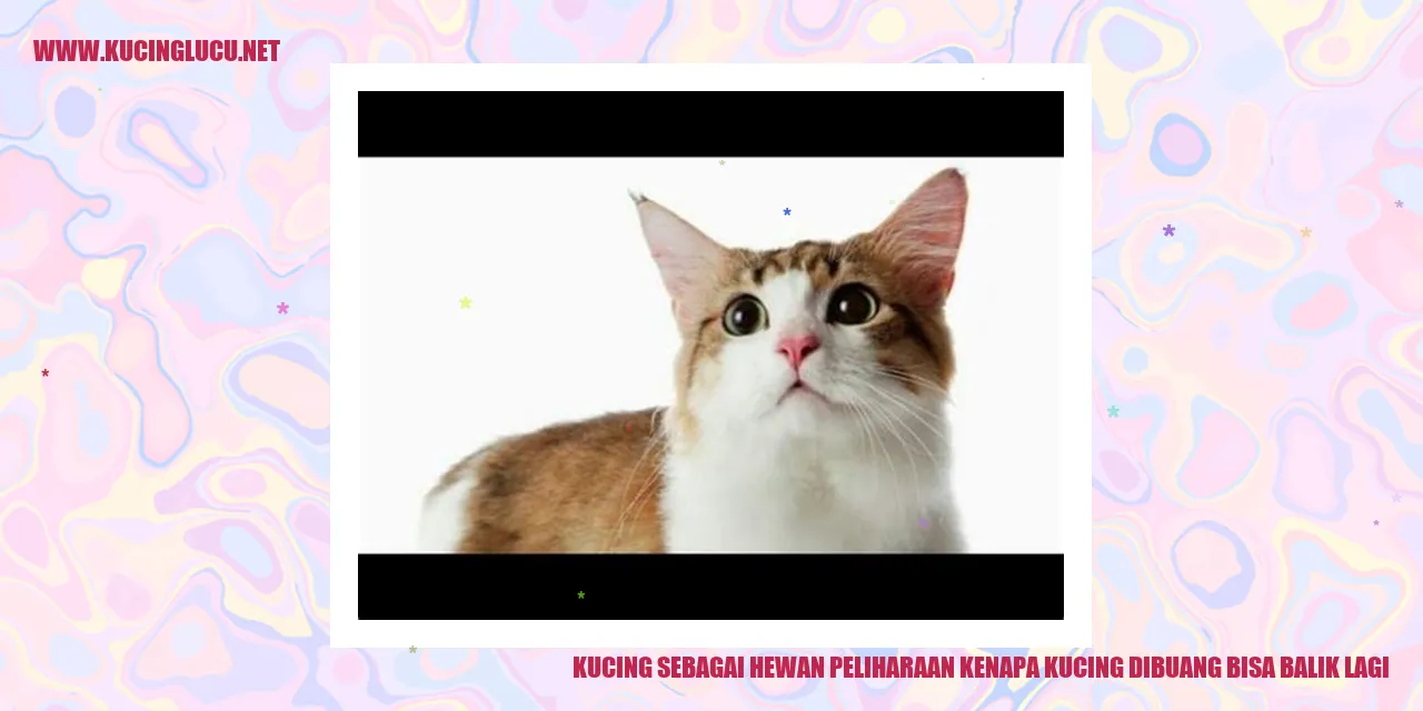 Gambar kucing