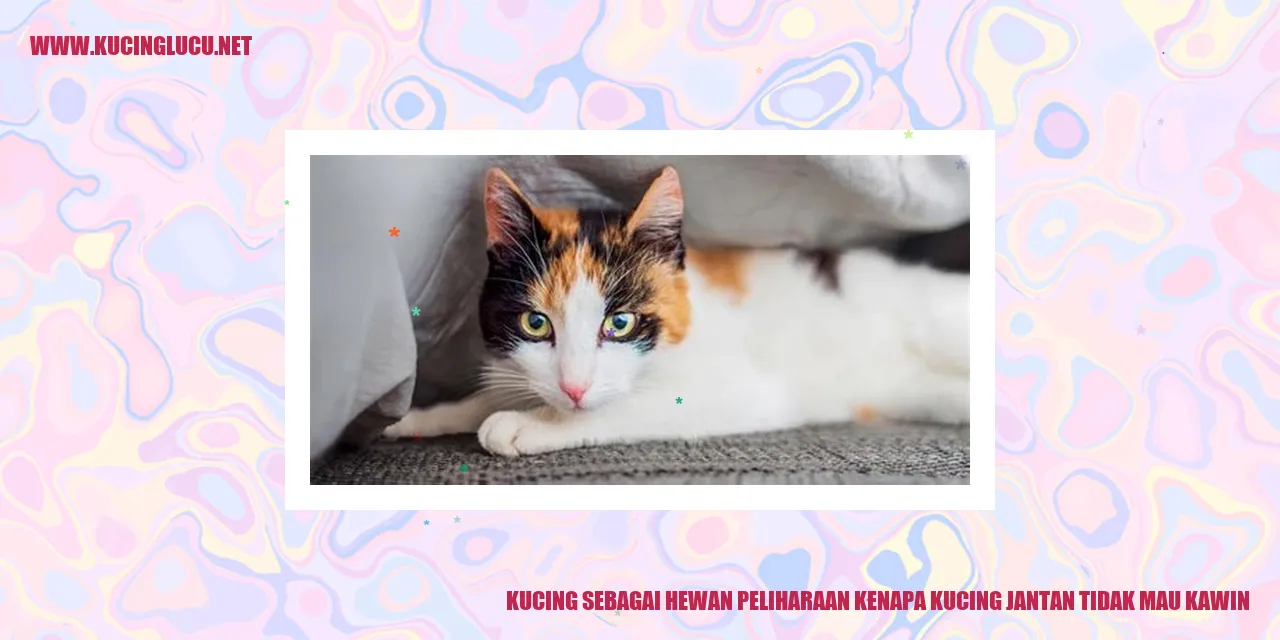 Ilustrasi kucing