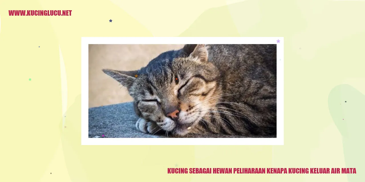 Kucing keluar air mata