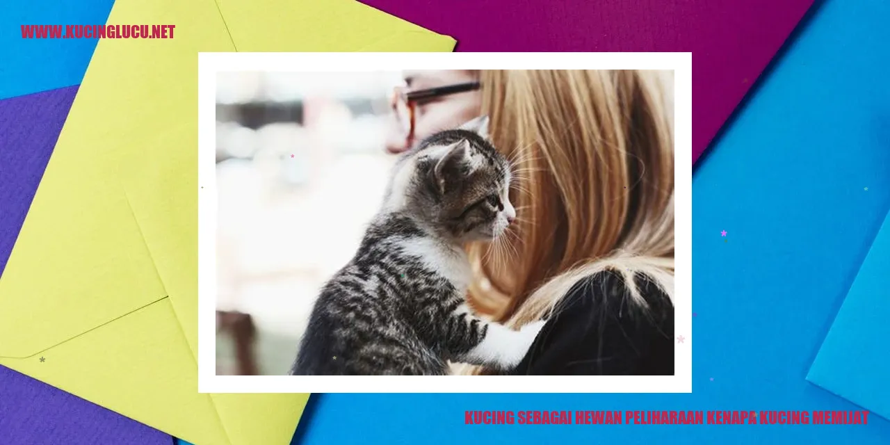 Kucing sebagai Hewan Peliharaan