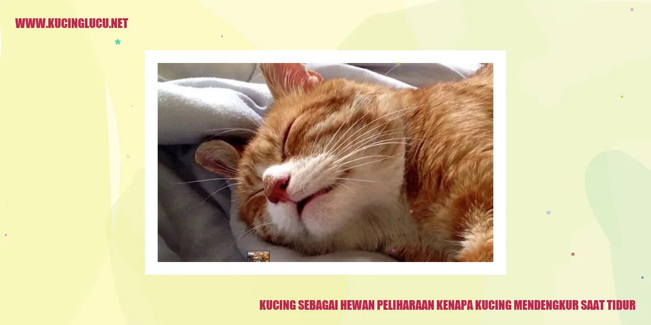 Gambar Kucing yang Tengah Tidur