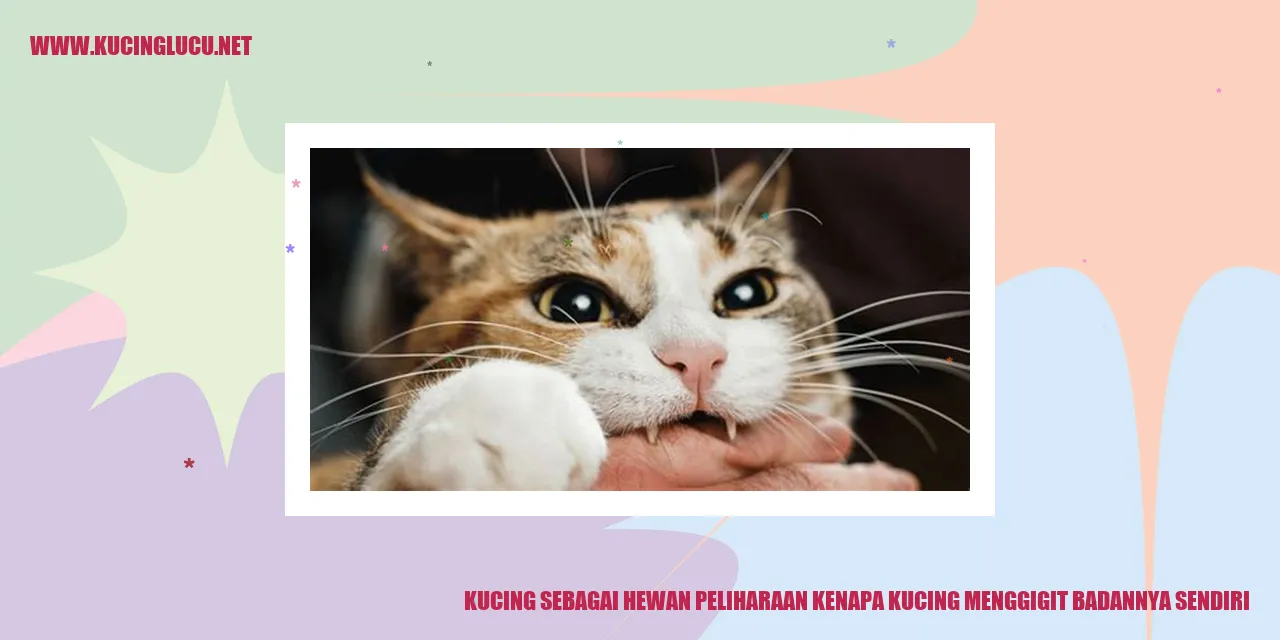 Kucing