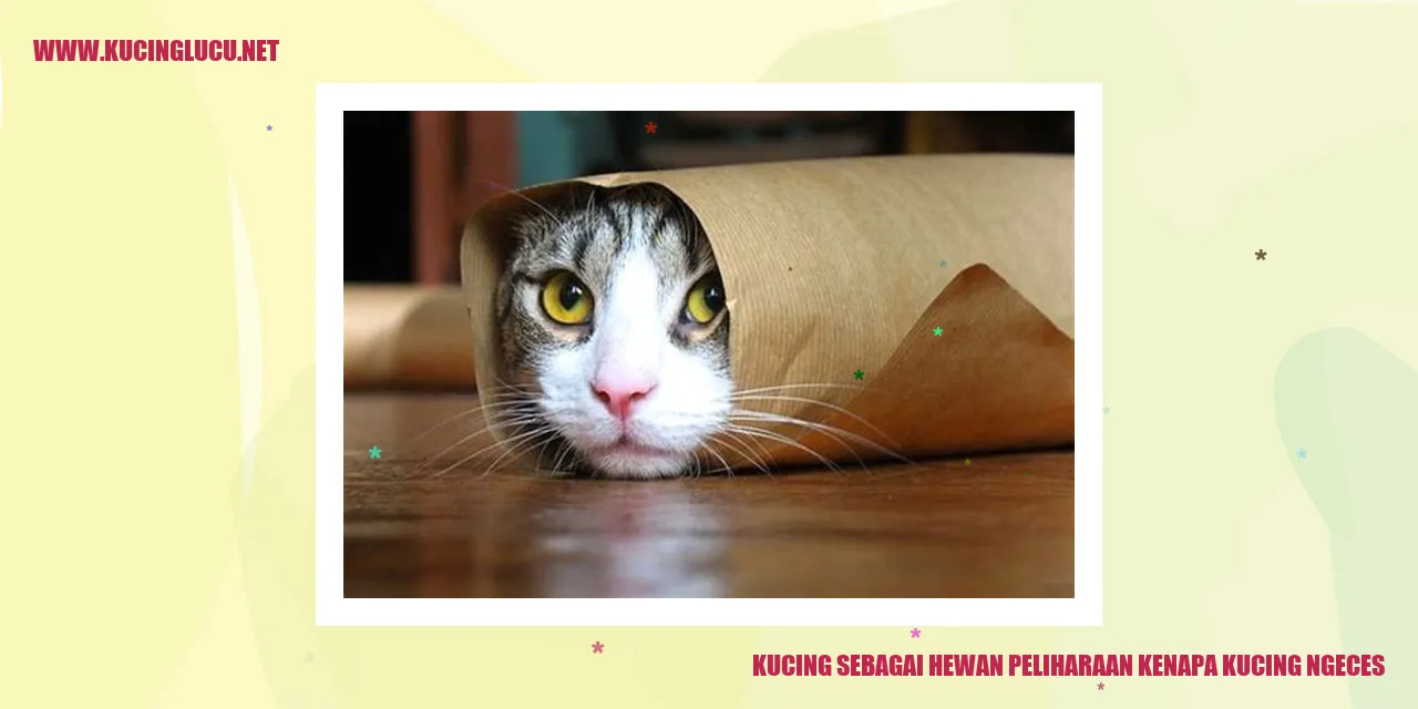 Gambar kucing yang menggemaskan