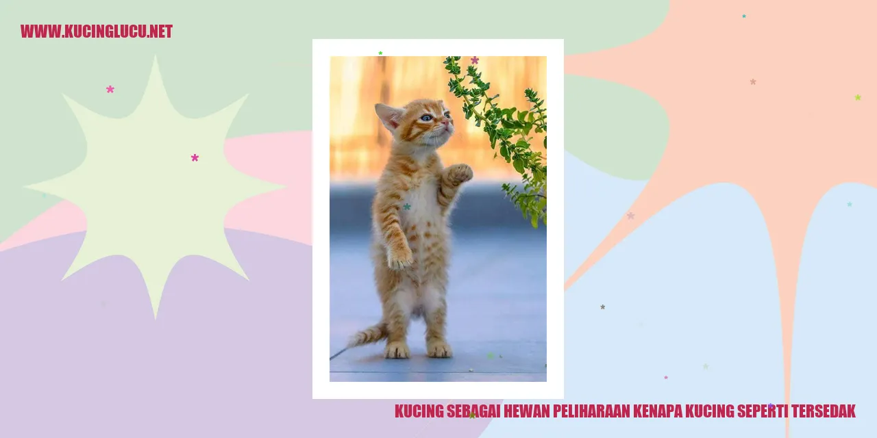 Gambar kucing tersedak
