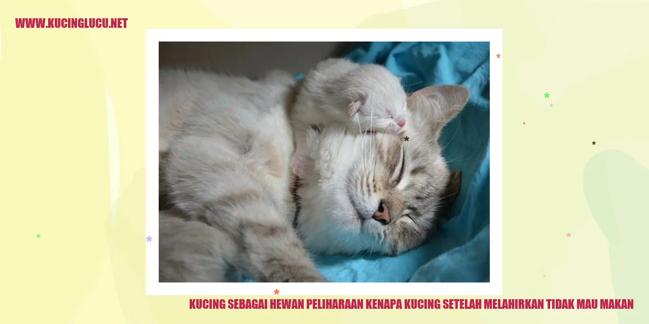 Tidak Mau Makan Setelah Melahirkan