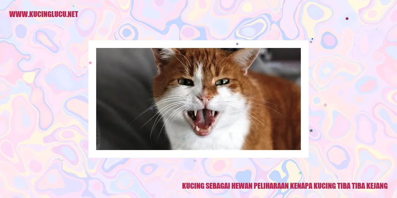Kucing kejang