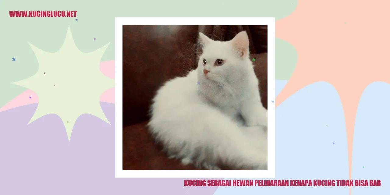 Gambar Kucing yang Santai