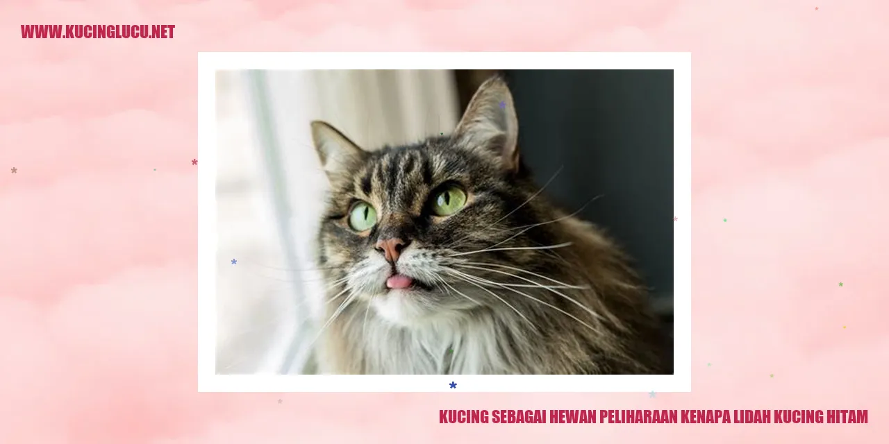 Kucing yang Menggemaskan