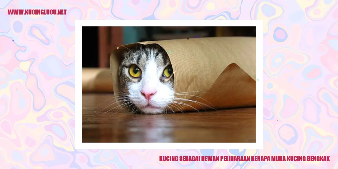 Kucing yang Menggemaskan