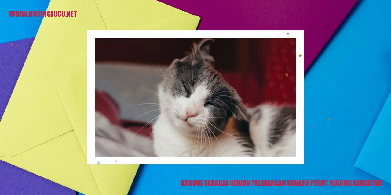 gambar kucing yang sedang berbaring dan perutnya bergetar