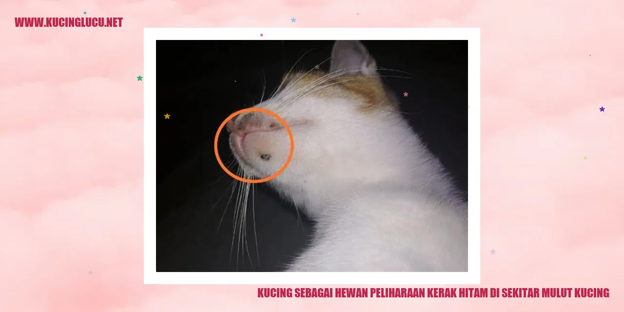 Kucing dengan kerak hitam di sekitar mulutnya