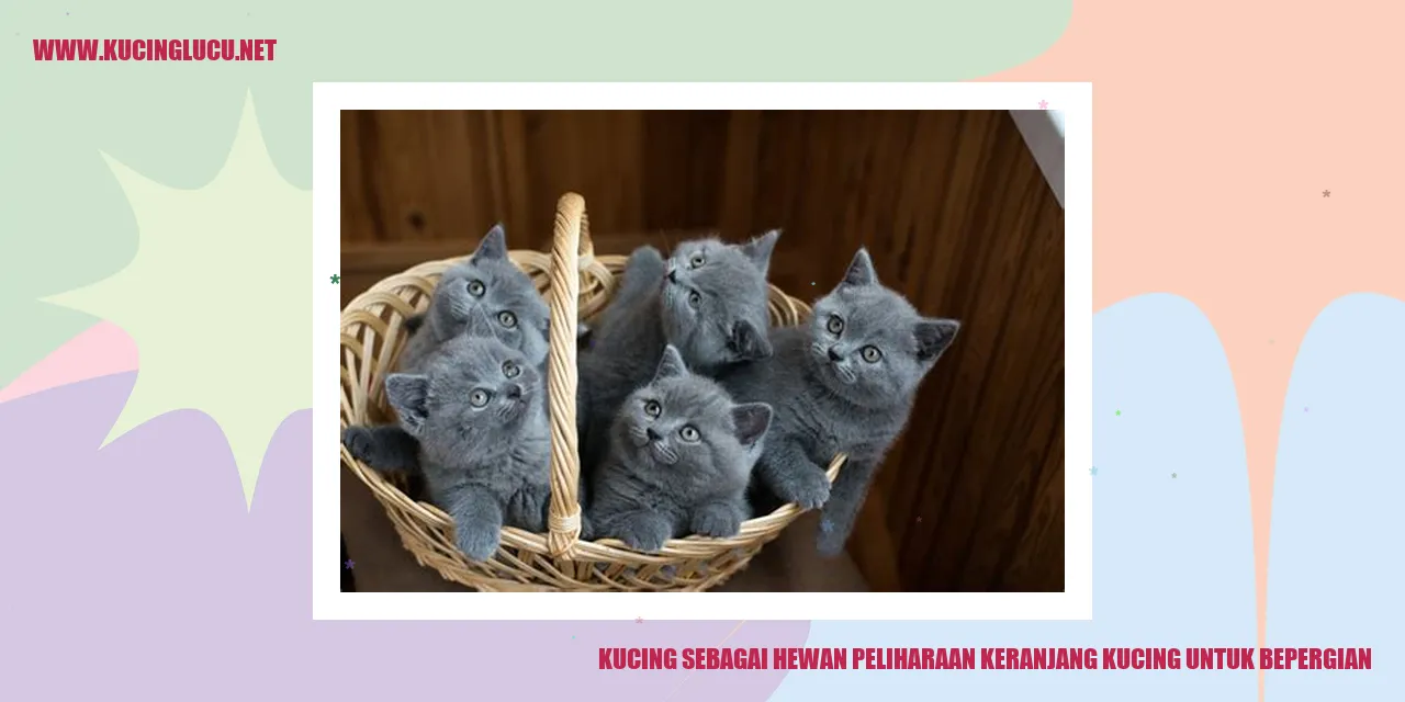 Kucing dalam keranjang untuk bepergian
