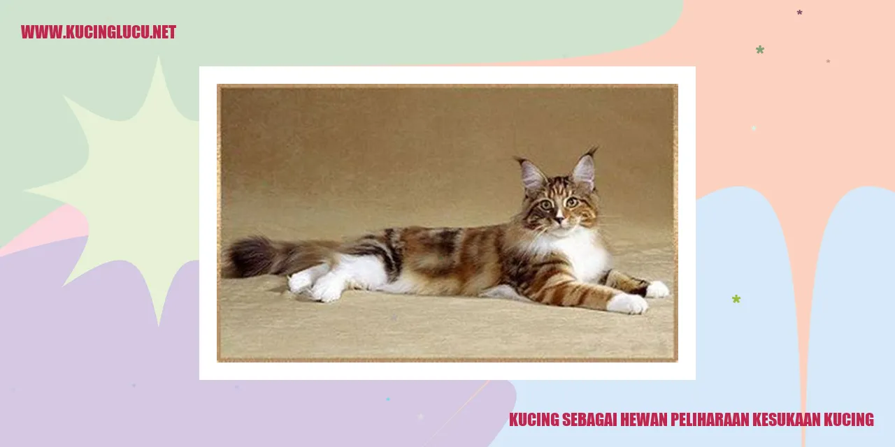 Kucing Lucu