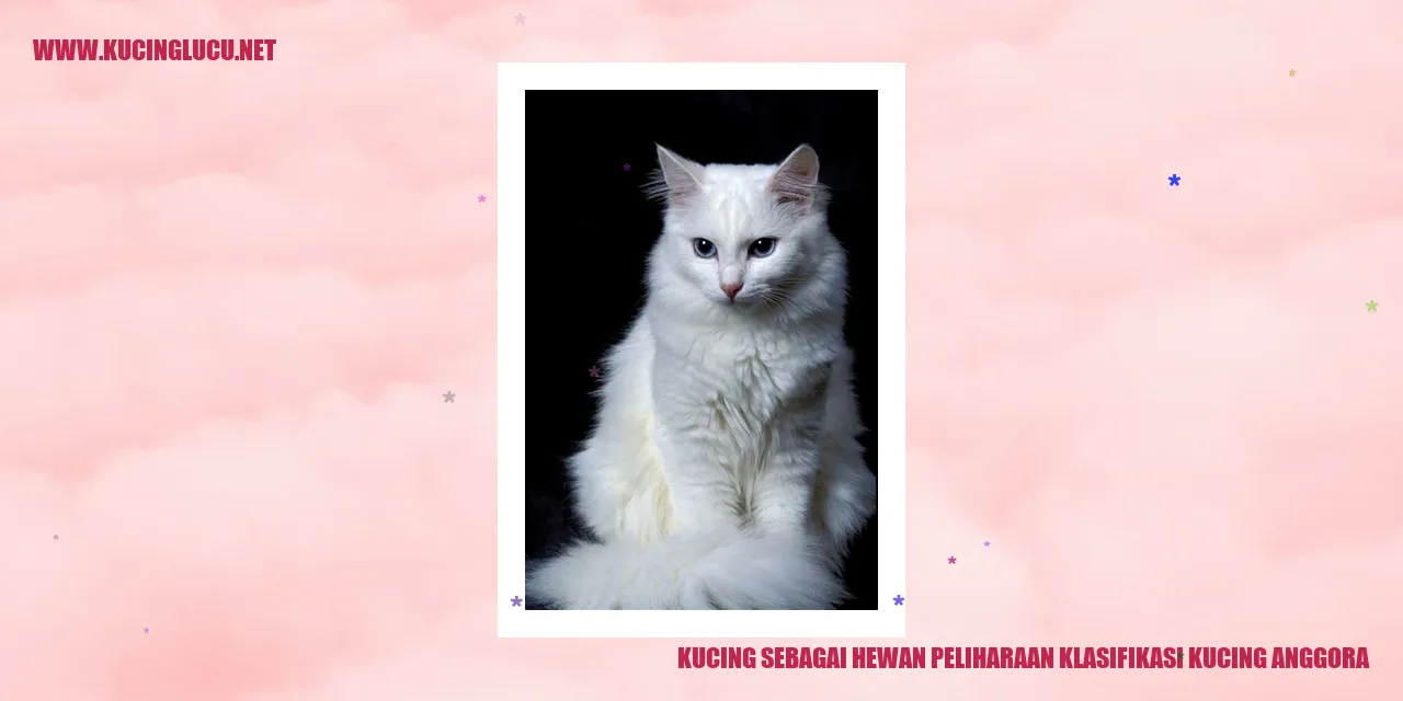 Kucing Anggora