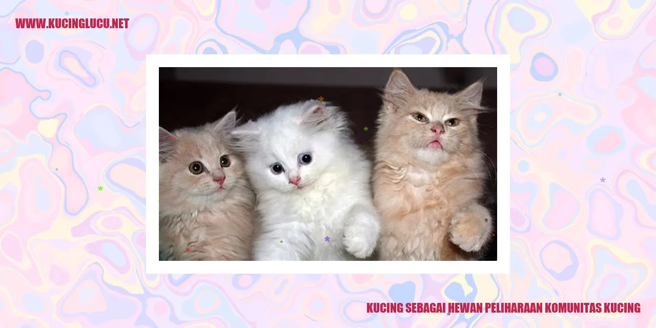 Kucing Menjadi Peliharaan Populer di Komunitas Kucing