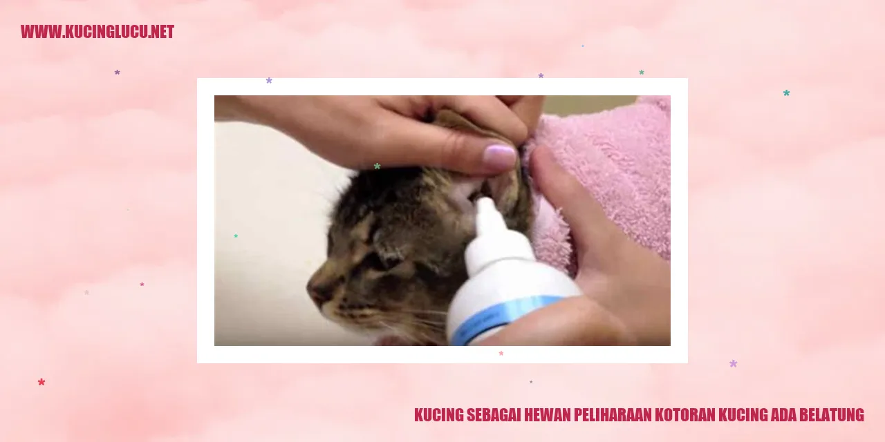 Gambar kucing