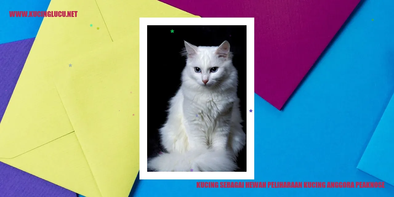 Kucing anggora peaknose