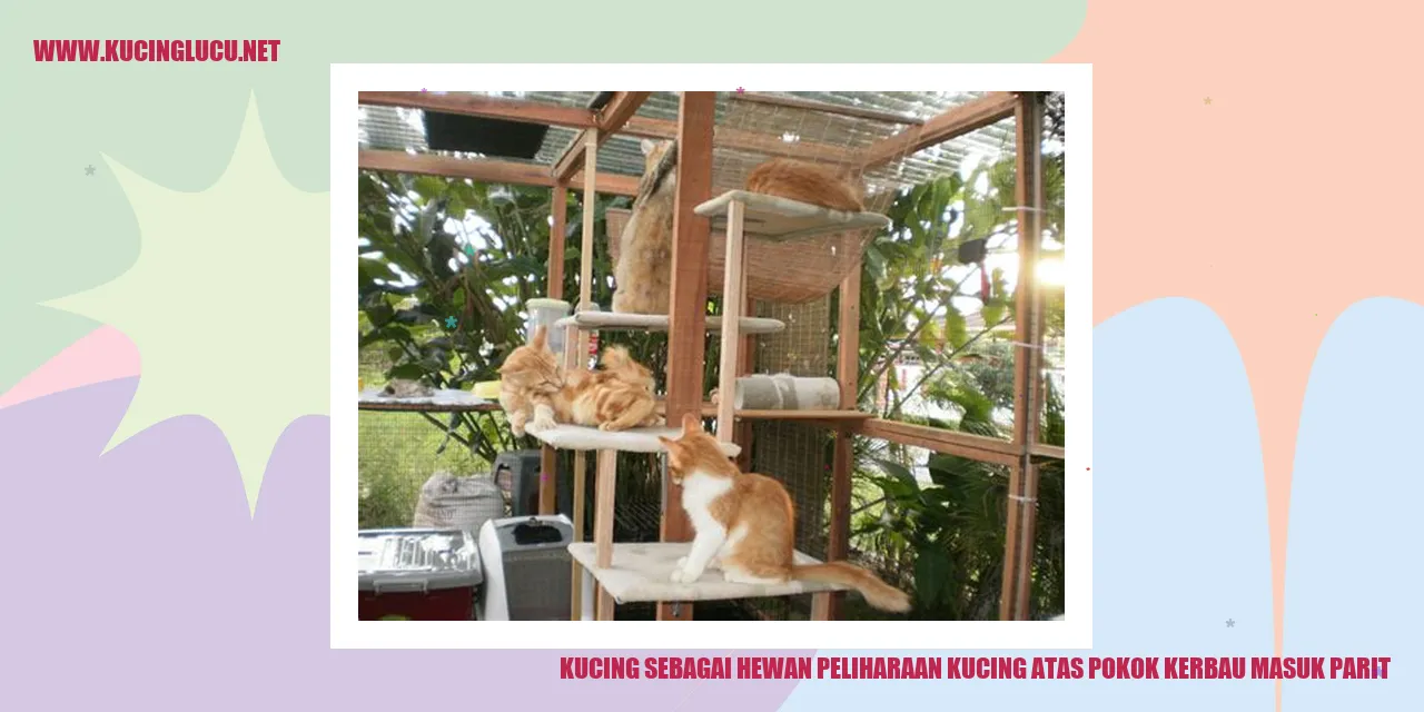 Kucing Lucu
