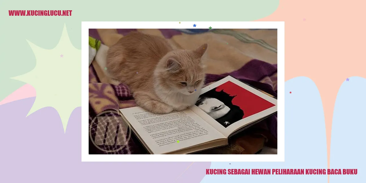 Gambar kucing sedang asyik membaca buku