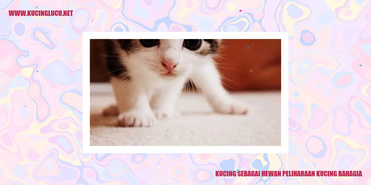 Kucing yang bahagia