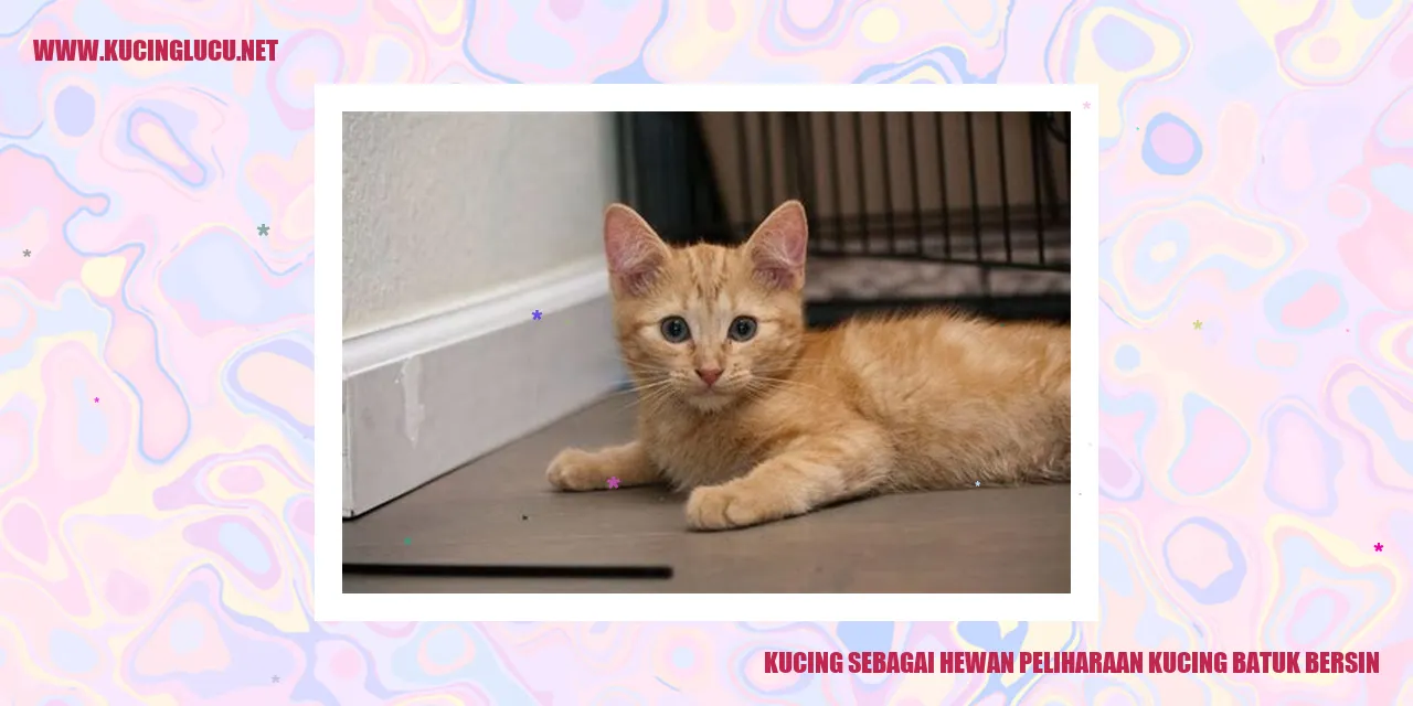 Kucing yang Batuk dan Bersin sebagai Hewan Peliharaan