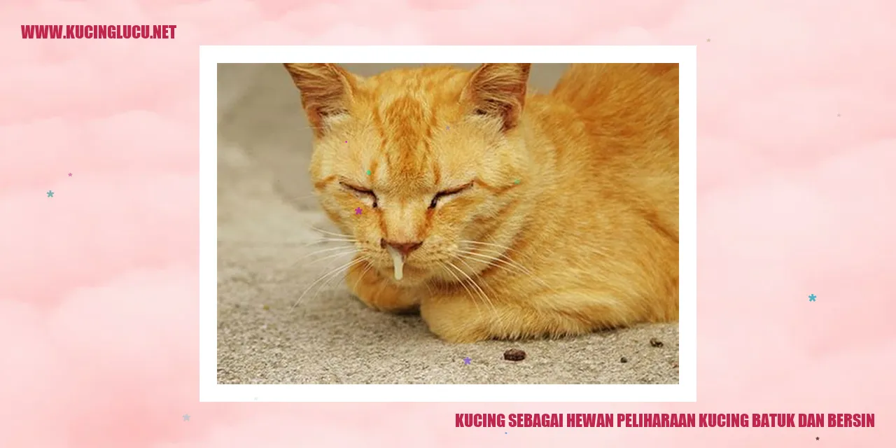 Kucing sebagai Hewan Peliharaan