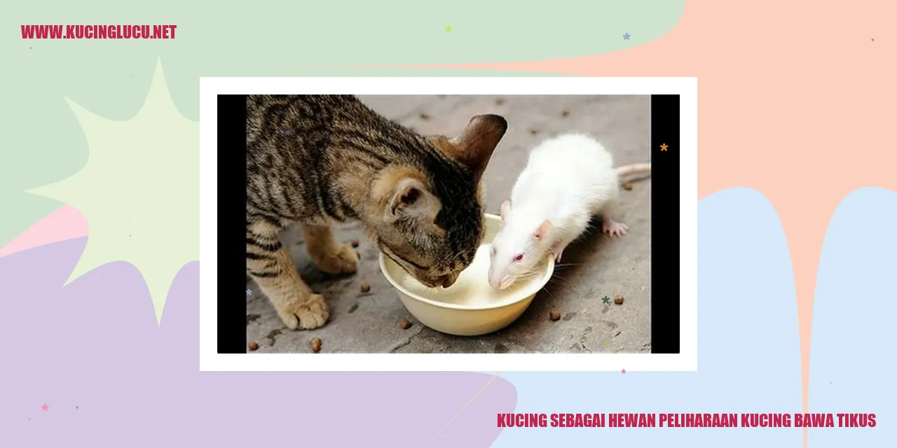 Kucing Membasmi Tikus