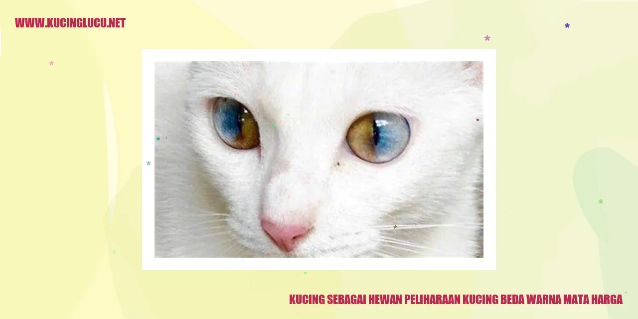 Kucing sebagai Hewan Peliharaan kucing beda warna mata harga