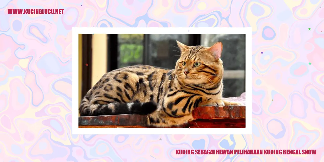 Keindahan Kucing Bengal Snow sebagai Hewan Peliharaan