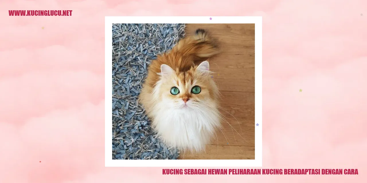 Kucing sedang bermain di luar