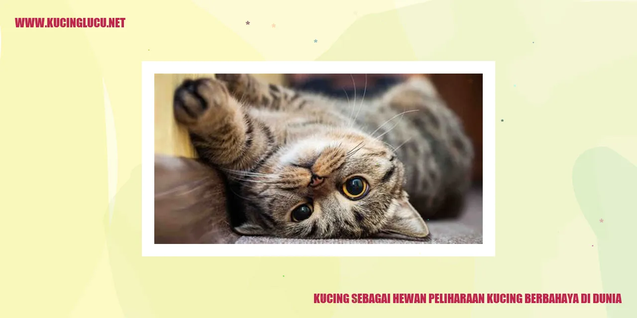 Kucing sebagai Hewan Peliharaan kucing berbahaya di dunia