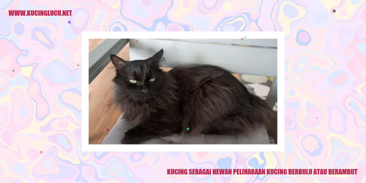Kucing dengan beraneka ragam bulu