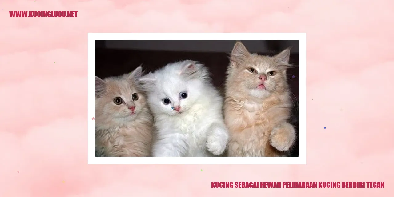 Kucing Berdiri Tegak