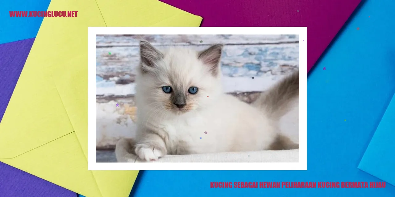 Kucing bermata hijau