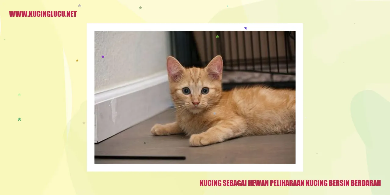 Kucing sebagai Hewan Peliharaan