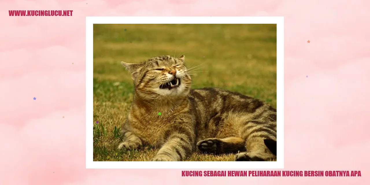 Gambar Kucing