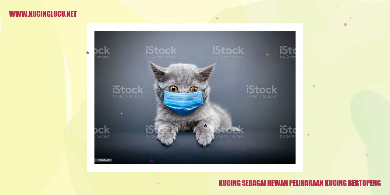 Kucing bertopeng