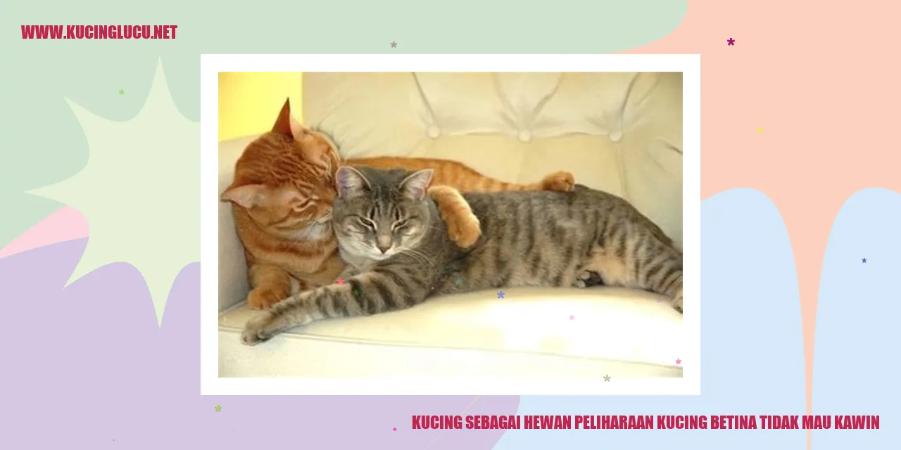 Kucing Peliharaan